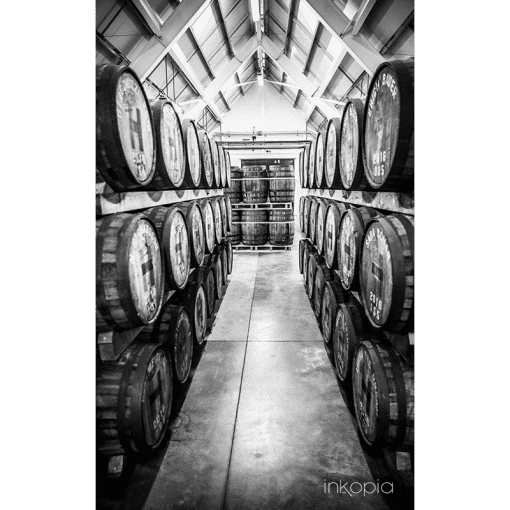 Monochrome, Wine cellar, Wine, Cellar, Barrel, Oak barrel
