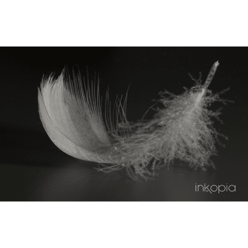 Monochrome, Abstract, Feather