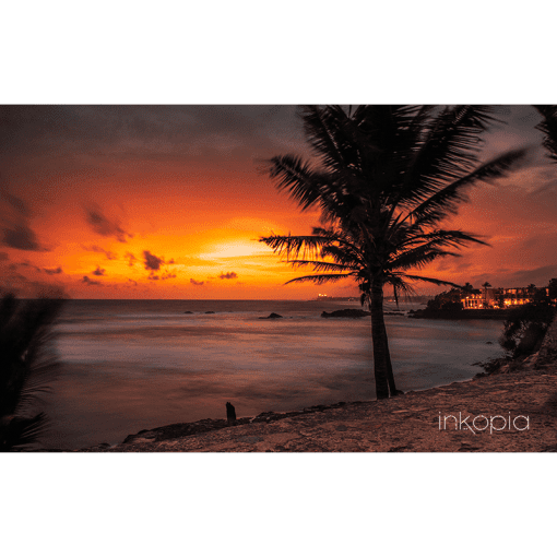 Beach, Nature, Palm trees, Sunset