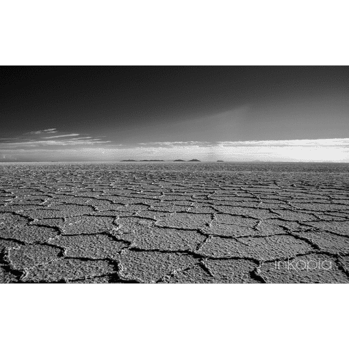 Scenery, Monochrome, Scenery, Desert, Dry