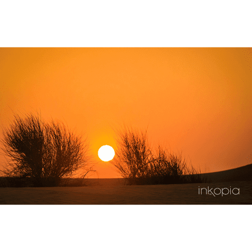 Scenery, Desert, Sunset, Sand