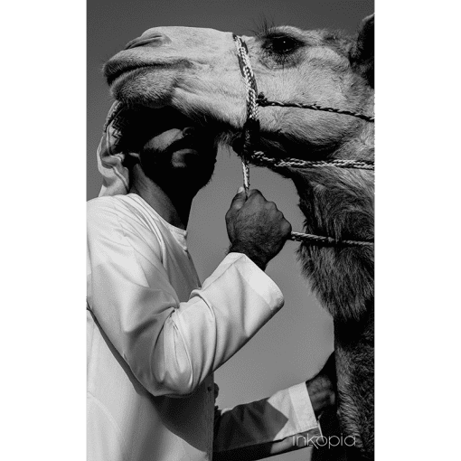 Monochrome, Animal, People, Camel