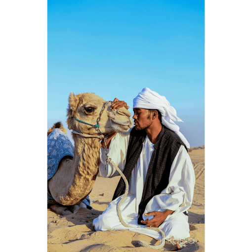 Animal, People, Camel, Desert