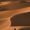 Scenery, Desert, Sand dunes, Dunes, Footsteps
