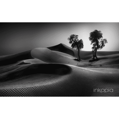 Nature, Monochrome, Desert, Tree, Dunes, Sand dunes, Limited Edition