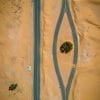 Abstract, Urban, Nature, UAE, Dubai, Tree, Desert, Road, Aerial