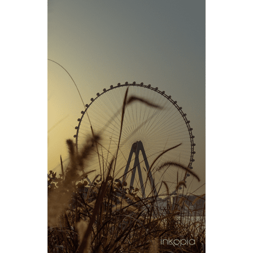 Urban, Landmark, UAE, Dubai, Wheel, Dubai Eye, Bluewater, Sunset