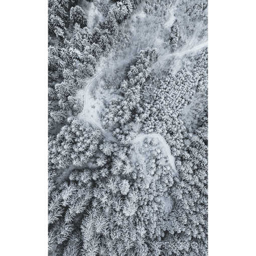 Nature, Forest, Germany, Trees, Snow, Aerial