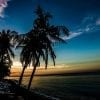 Scenery, Sea, Sunset, Beach, Coast, Palm tree, Dark