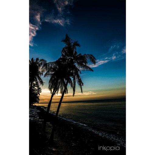 Scenery, Sea, Sunset, Beach, Coast, Palm tree, Dark