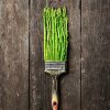 Abstract, Green, Paint, Brush, Asparagus