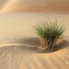 Scenery, Liwa Desert, Abu Dhabi, UAE, United Arab Emirates, Sunset