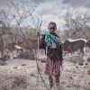 Fashion|People|Nature|Animal|Portrait|Boy|Tribal|Cows|Africa|WAD|World Art Dubai